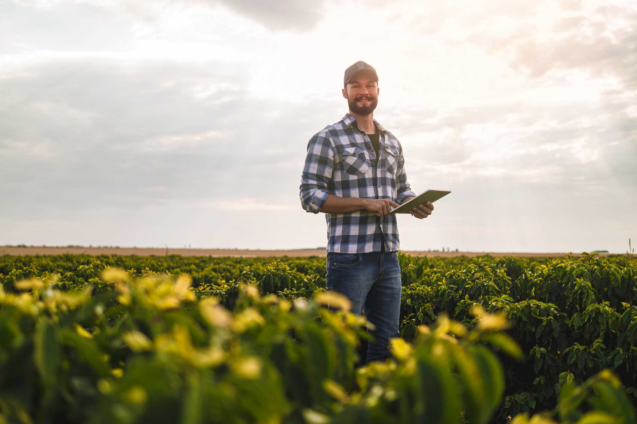 Os Segredos Para Se Tornar Um Grande Produtor Rural Sebrae